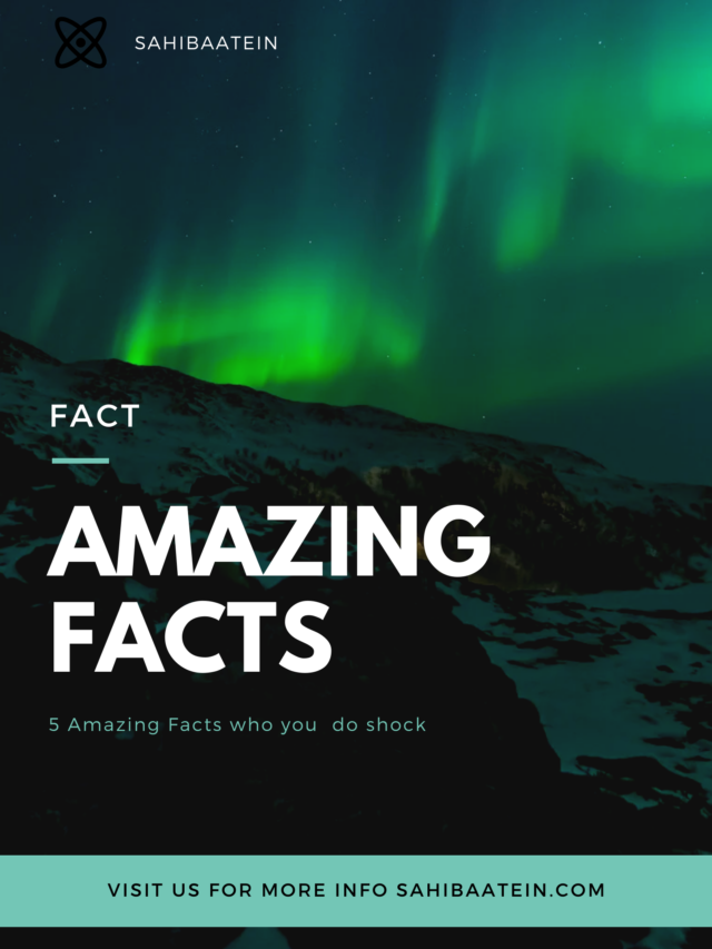 Green Northern Lights Photo Fact Scientific Poster