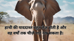 Fact in Hindi