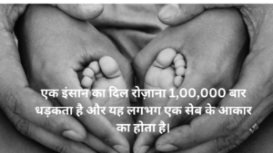 Fact in Hindi